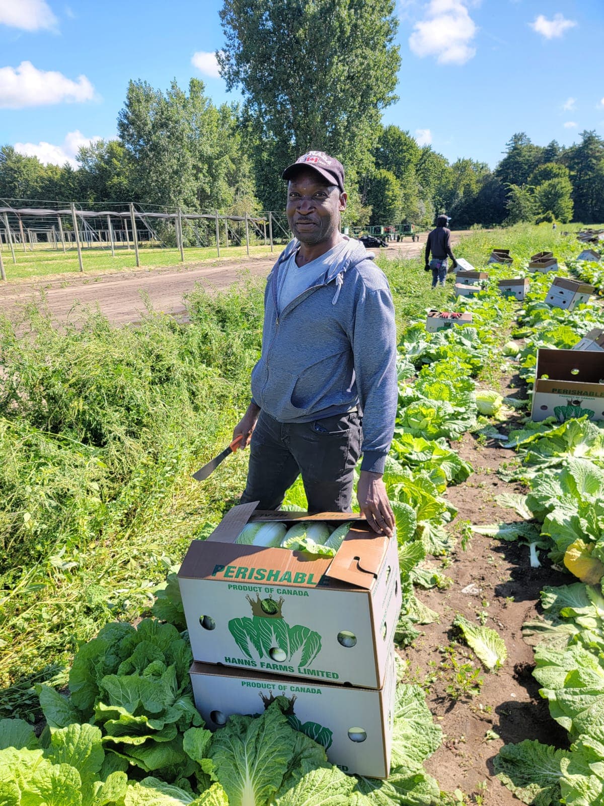 JN Money offers short-term loans to Jamaican farmworkers in Canada