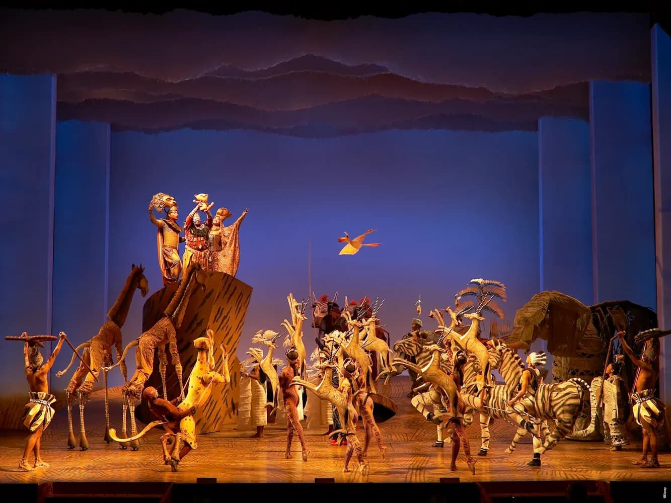 Jamaican talents set to shine as Disney’s ‘The Lion King’ holds auditions in Kingston