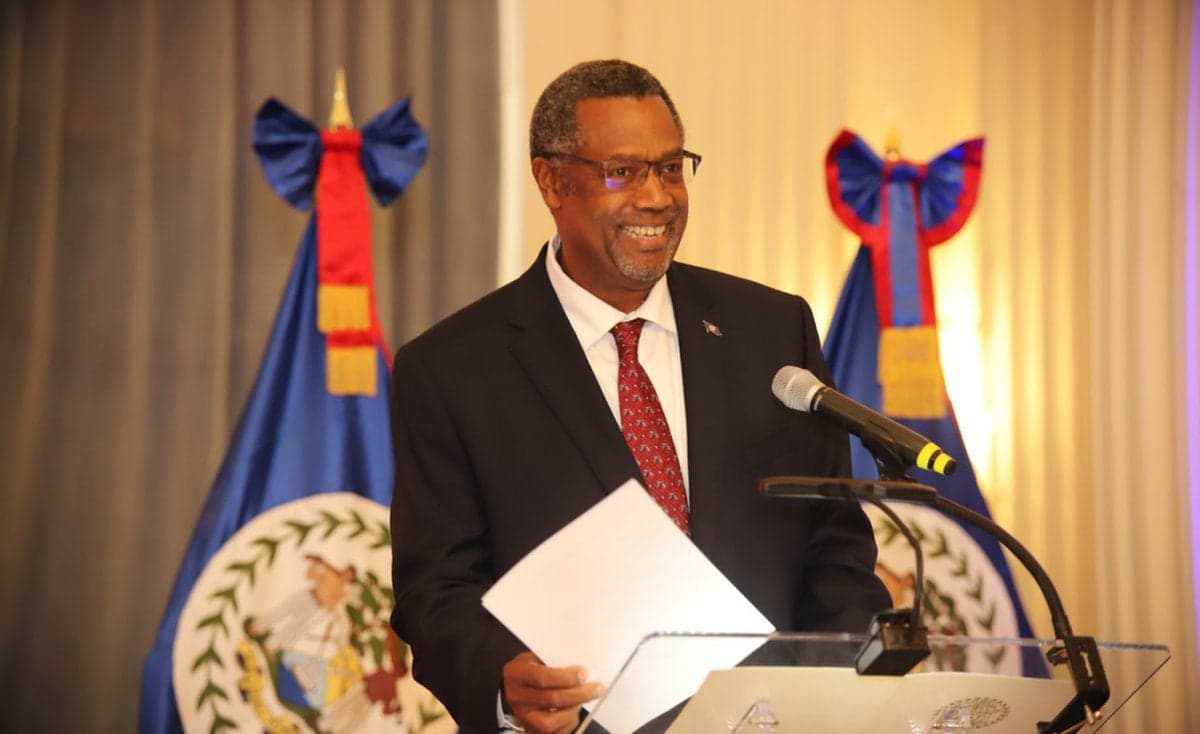 Belize’s Lynn Raymond Young assumes chair of OAS Permanent Council