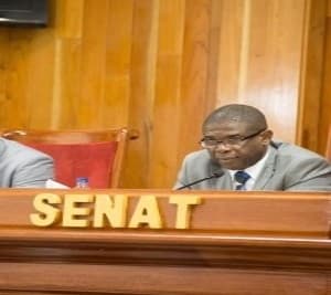 Haiti’s senate speaker casts doubt on legislative and municipal elections in October