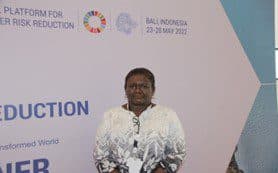 Caribbean countries urged to have a presence at international fora
