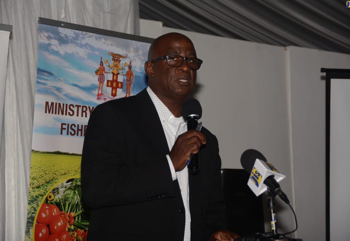 Jamaica makes stride toward global agricultural dominance