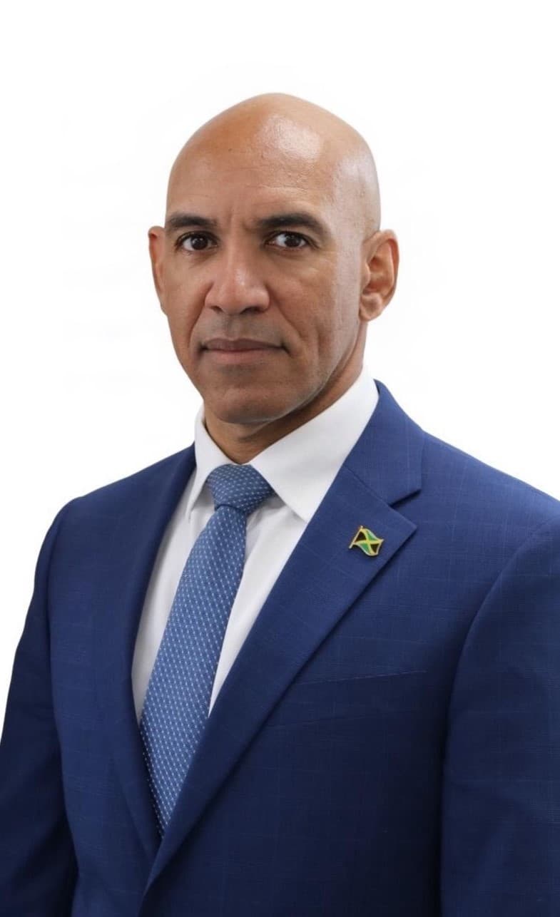 Diaspora leaders mobilize as Jamaica prepares for Hurricane Melissa