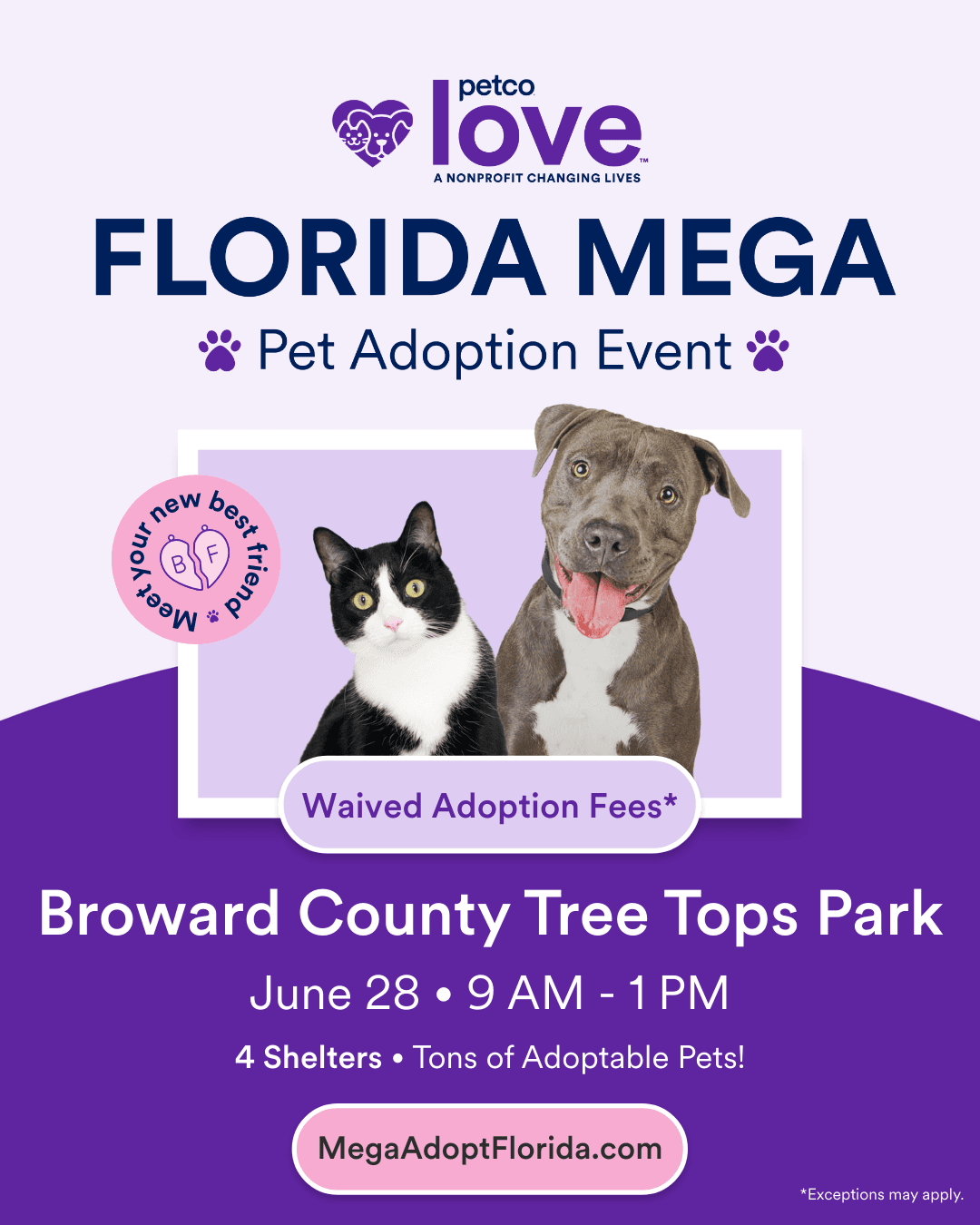 Broward Animal Care hosts mega pet adoption event on June 28