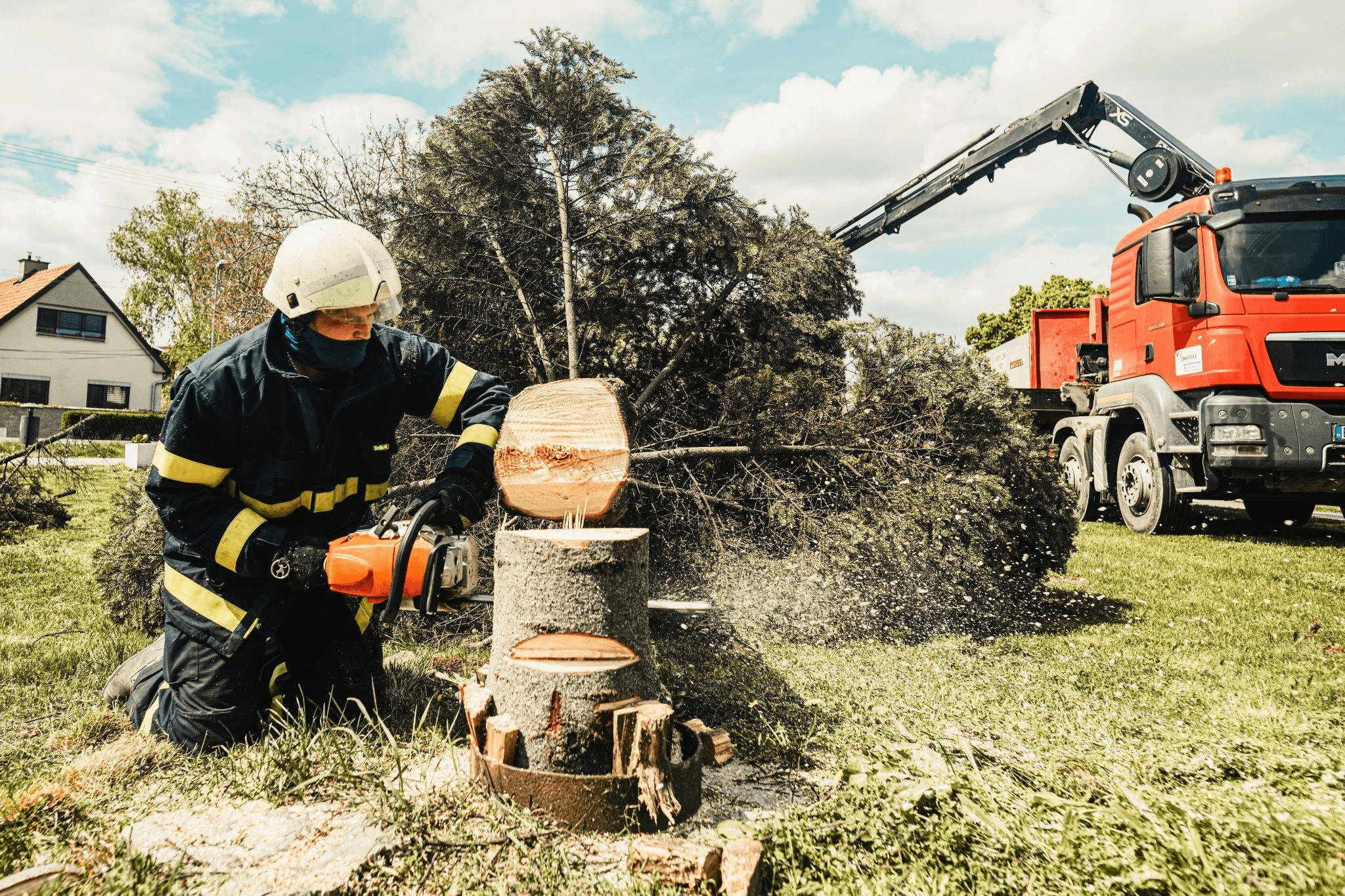 How much does tree removal cost in North Haven, CT?