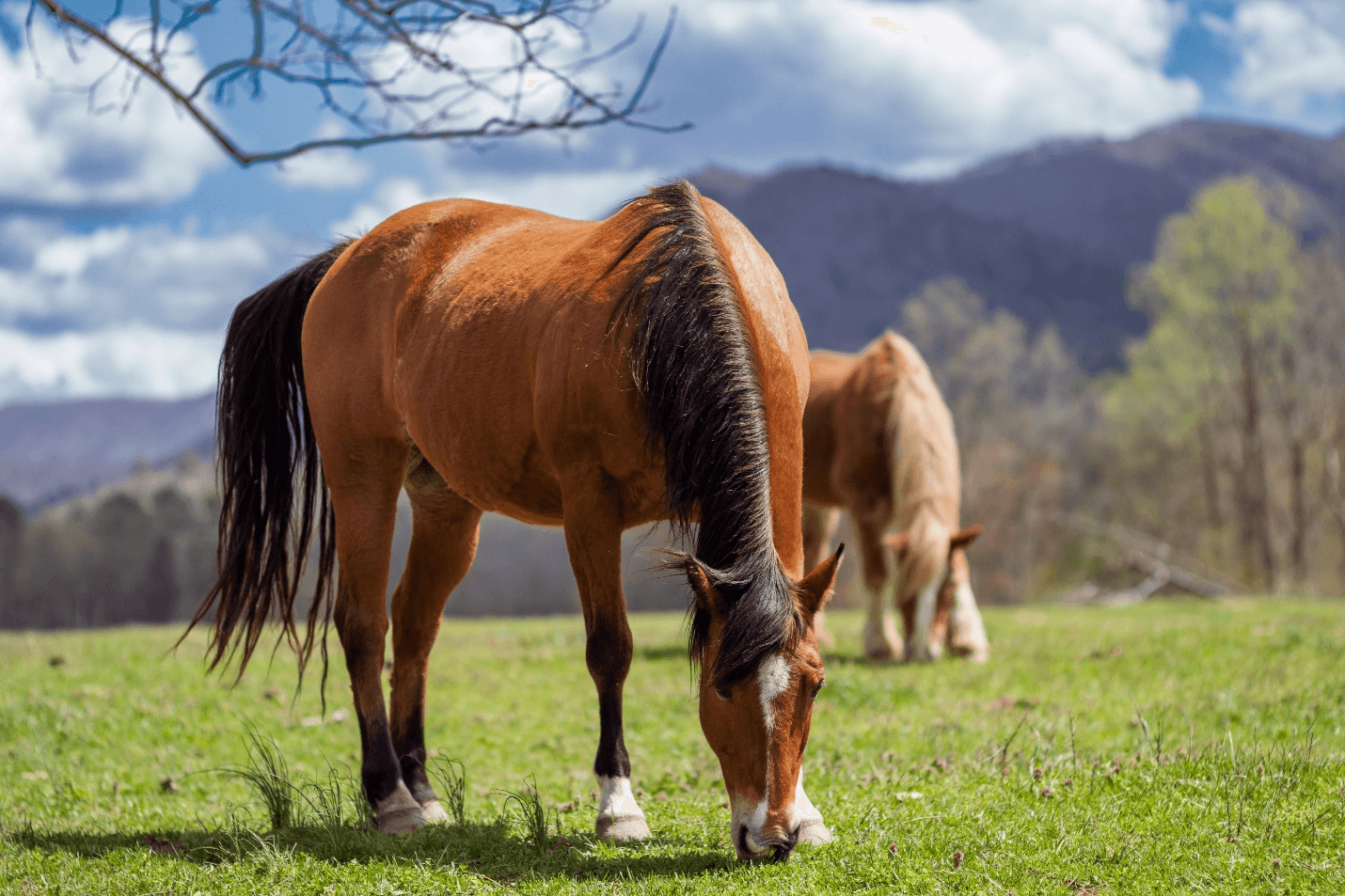 Family holiday guide: Planning the perfect outdoor itinerary