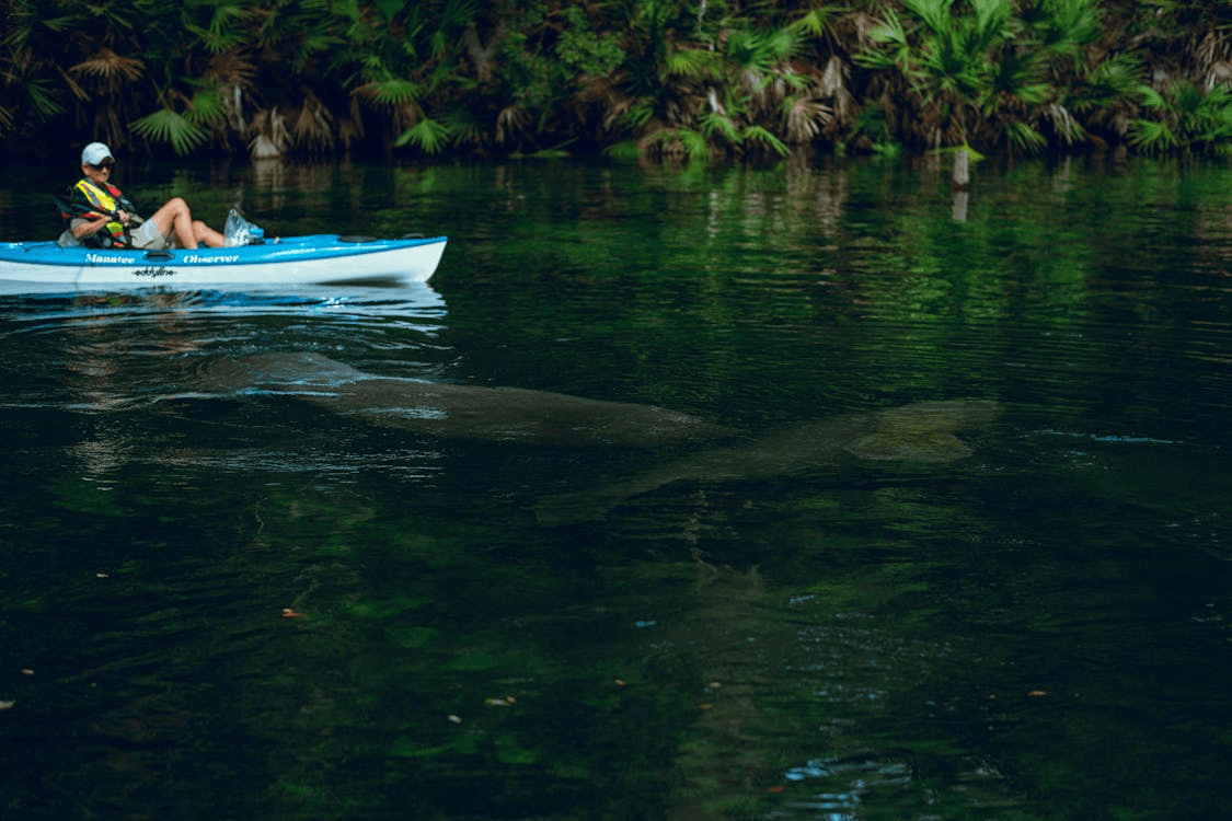 How to plan a paddling road trip from South Florida