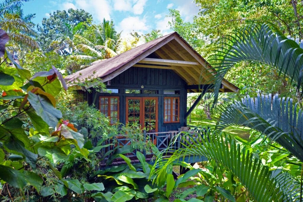 Want to stay at an eco-friendly resort in Jamaica? Consider Sunset at the Palms