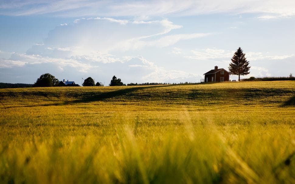 Rural living made easy: Essential tips for property owners