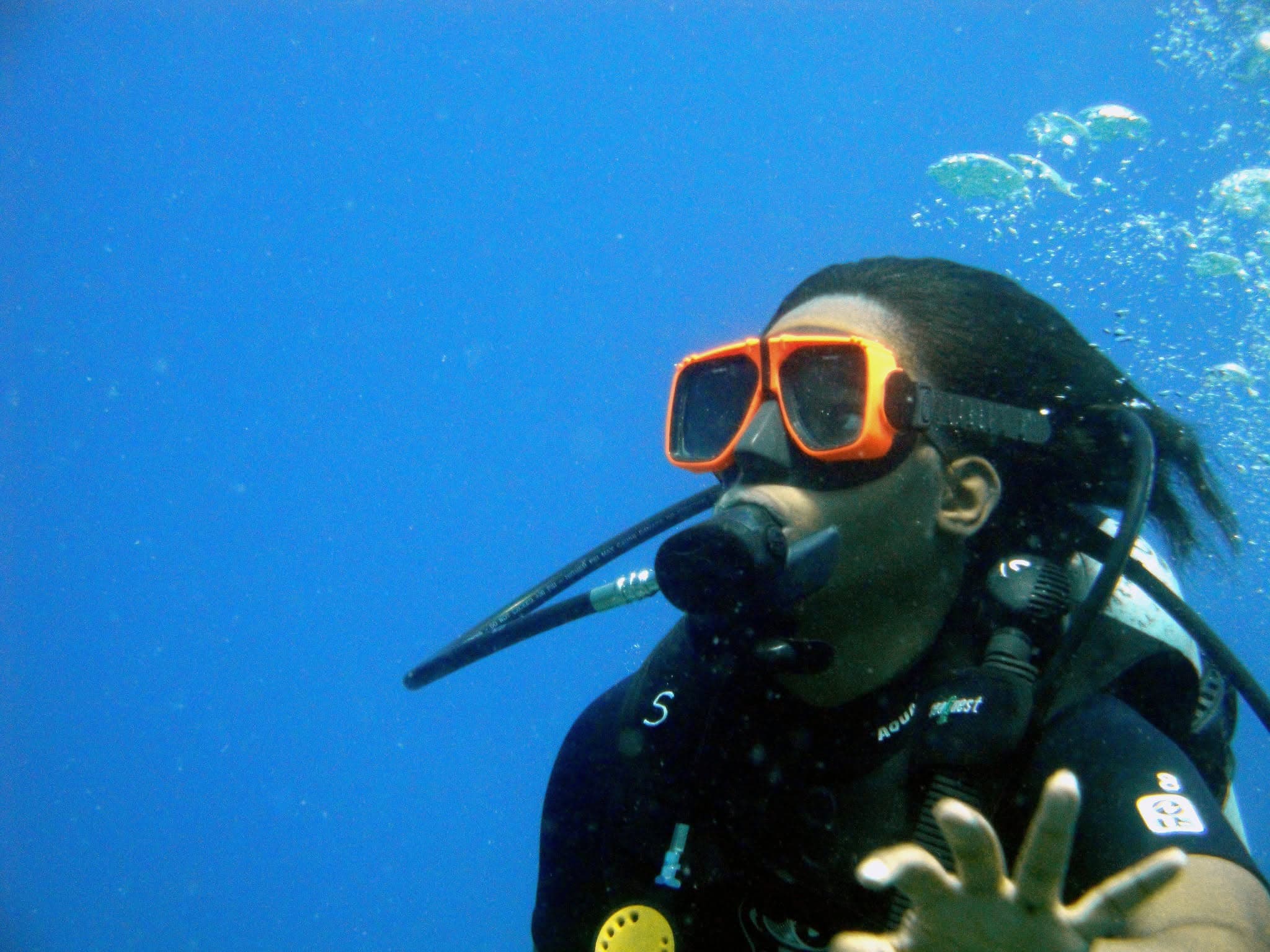 Saint Lucia To unveil first national underwater sculpture park exhibition