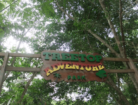 4 must-do activities in St. Lucia