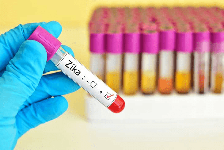 ZikV confirmed in three pregnant Barbadian women