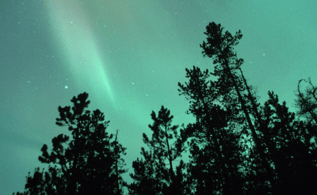PBC's annual Dark Sky Festival set for February 27