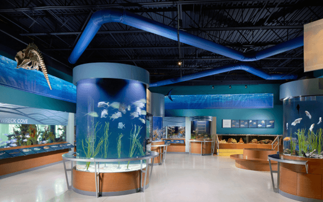 Science Center goes "Gross" for summer