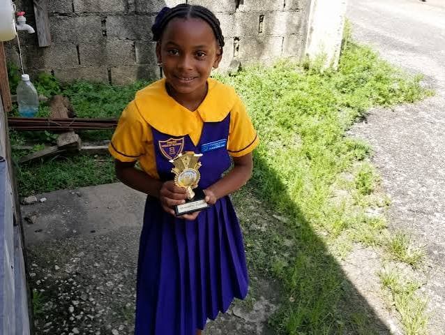 Child advocacy group renews call for public sex offenders registry after Trelawny girl's killing
