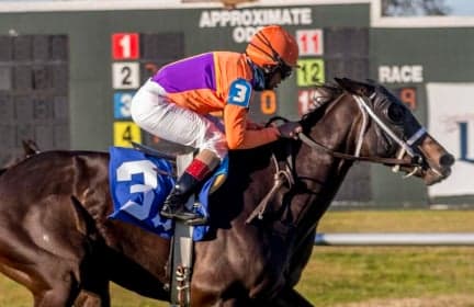 Jamaican Jockey Shaun Bridgmohan Wins Marie Krantz Memorial with Late Rally