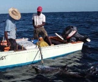 Suriname implements database to fight illegal fishing