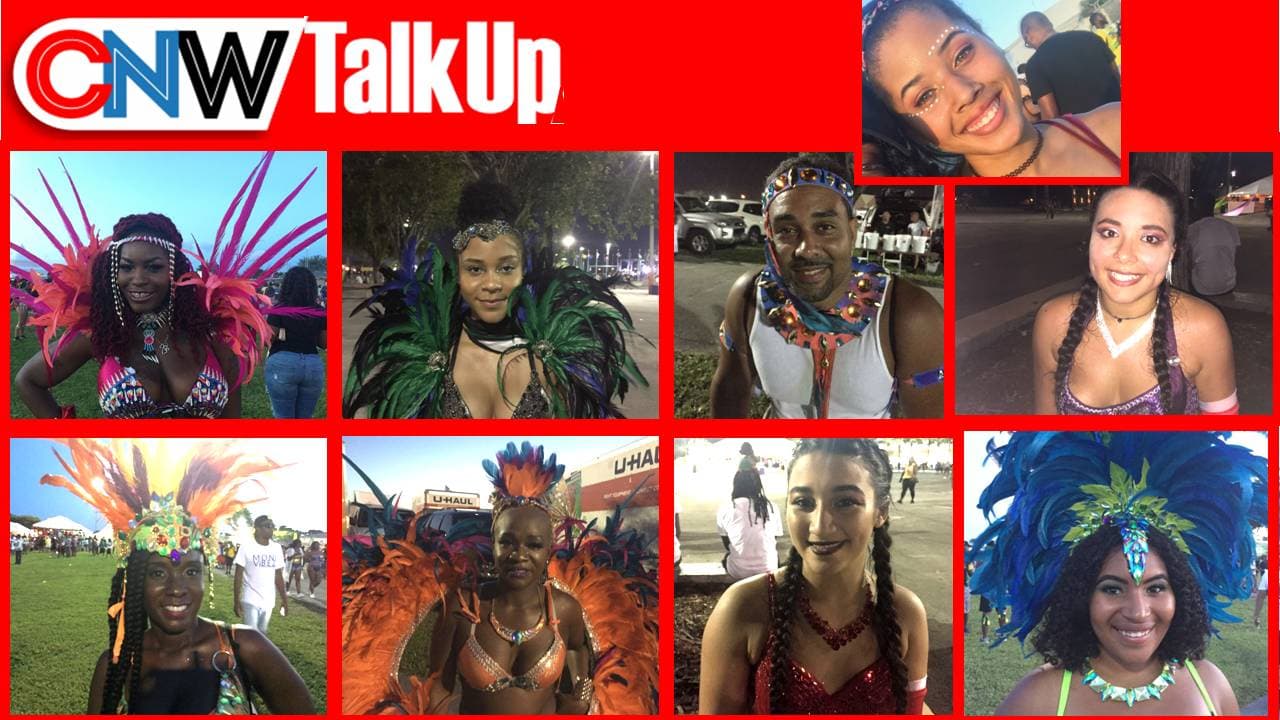 What made you participate in Carnival 2017?