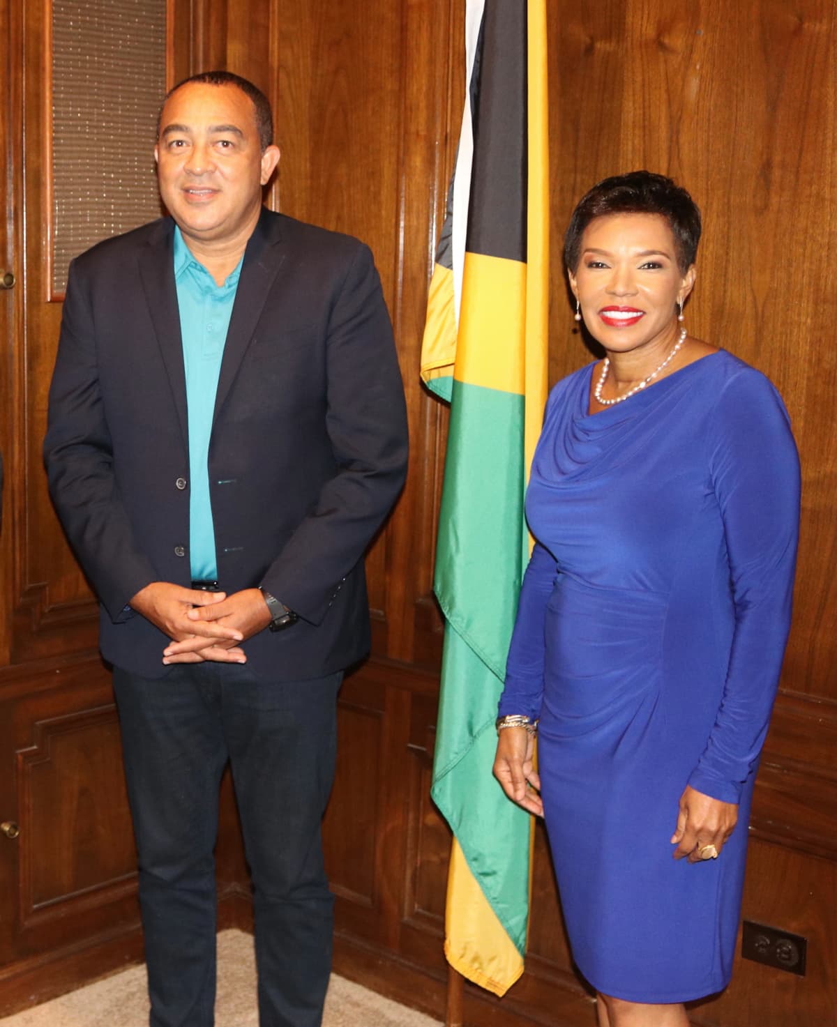 Jamaica's Adopt-a-Clinic Program Gaining Traction Within Diaspora