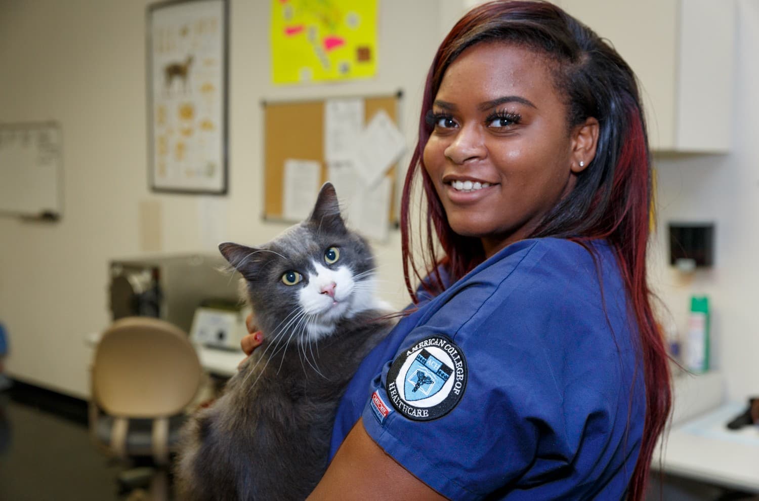 How to Become a Veterinary Assistant: Requirements, Training, and Career Path