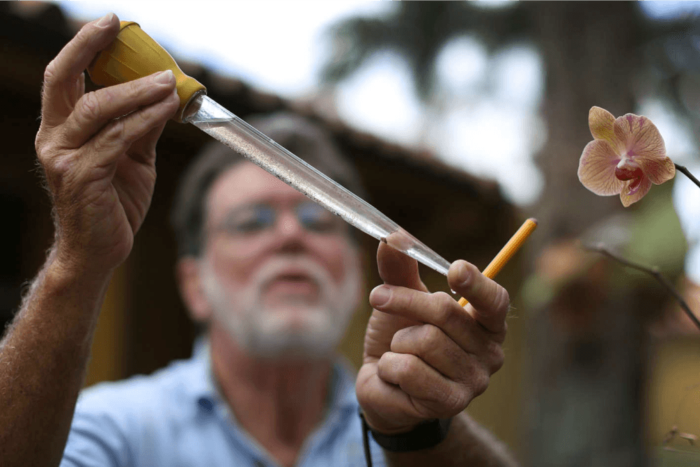 Locally contracted Zika cases spread