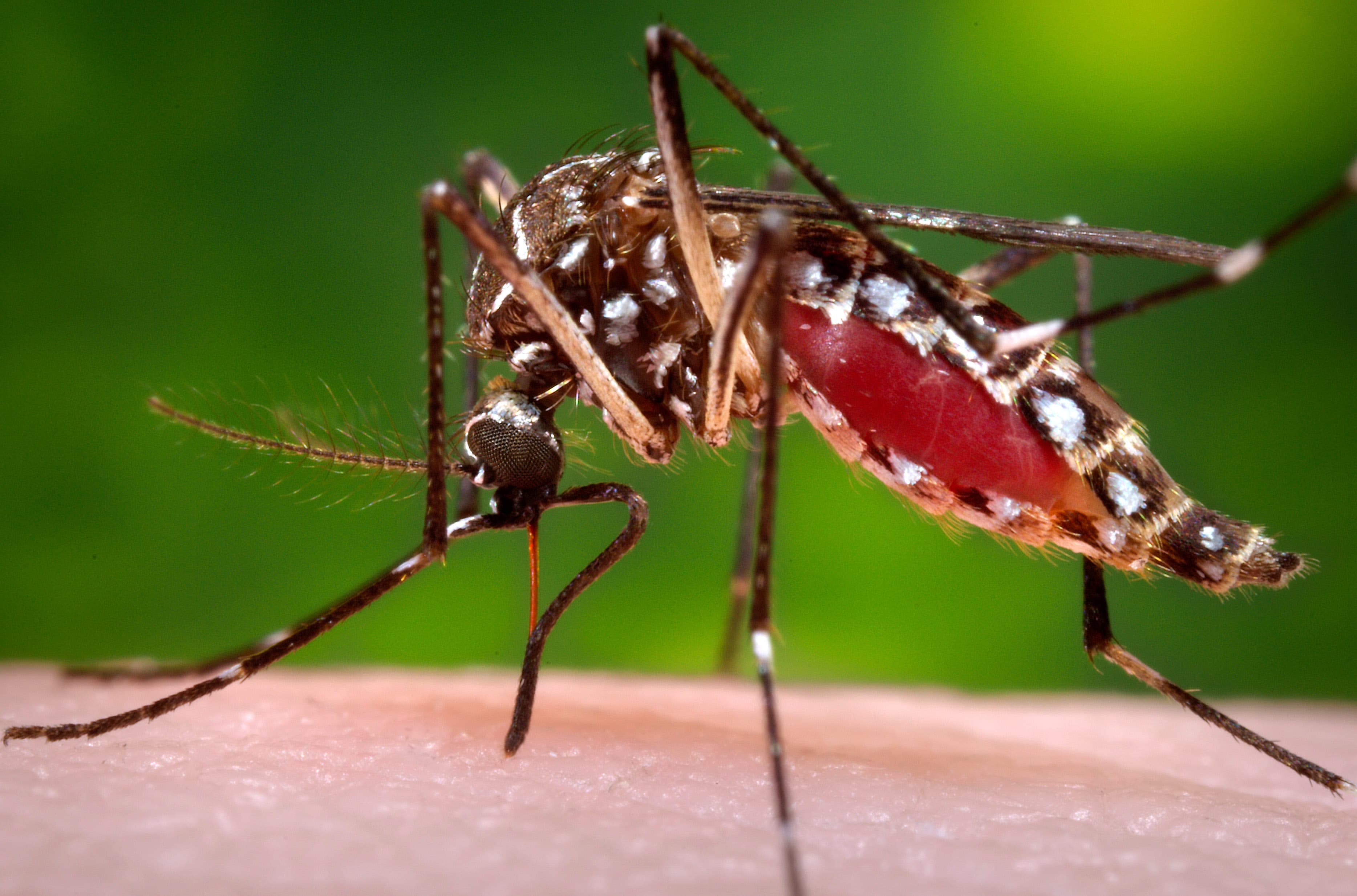 CDC confirms Zika funding for states