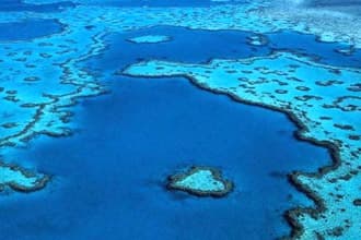 Great Barrier Reef damaged in 'unprecedented bleaching'