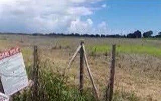 Jamaican Government says agricultural lands will not be used for housing