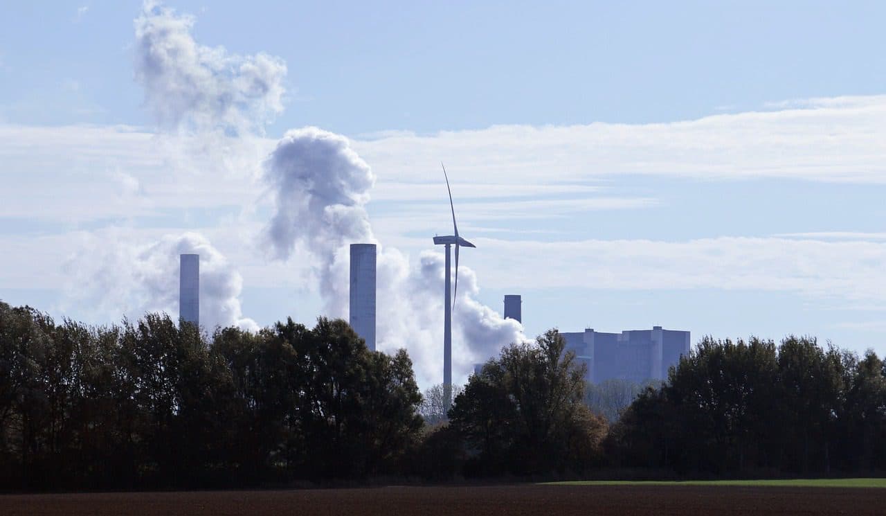 Blacks in the U.S. more susceptible to air pollution-related deaths