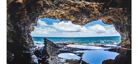 Animal Flower Cave Barbados