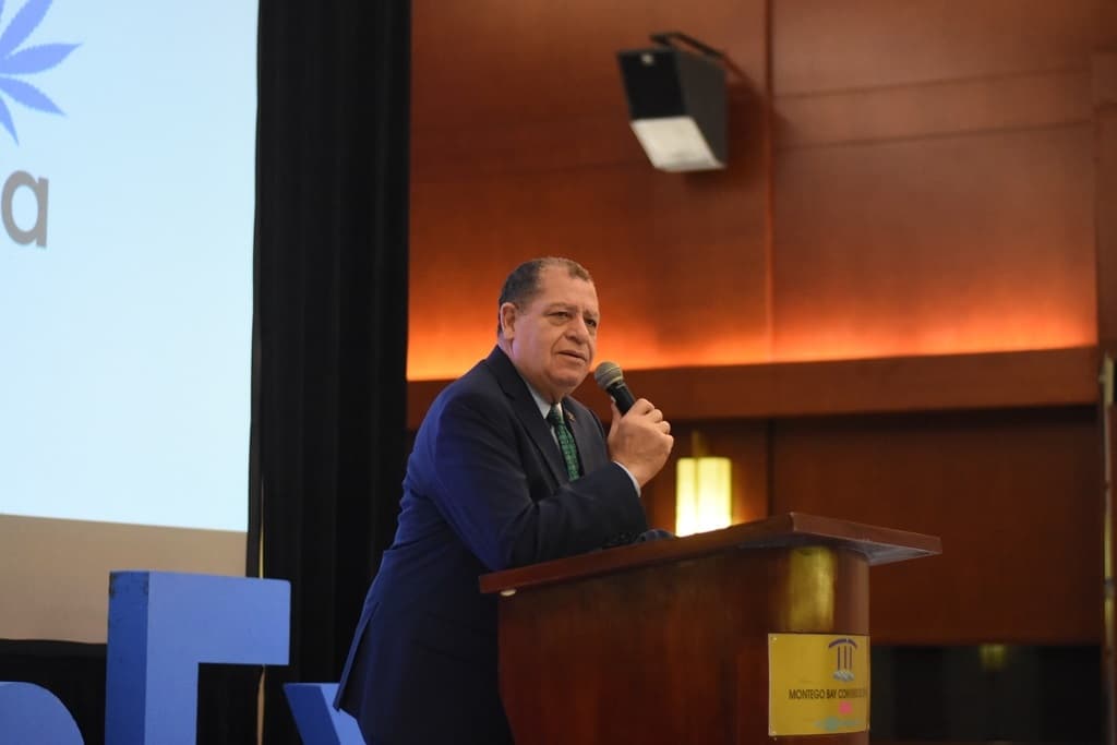 Jamaica Announces Cannabis Partnership with Harvard Institute