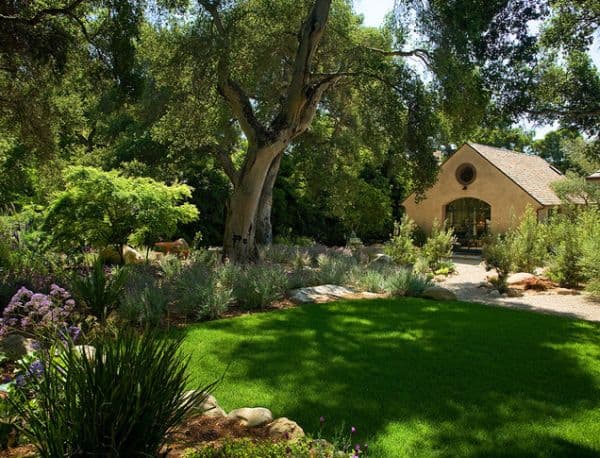 Want a Stunning Summer Yard?