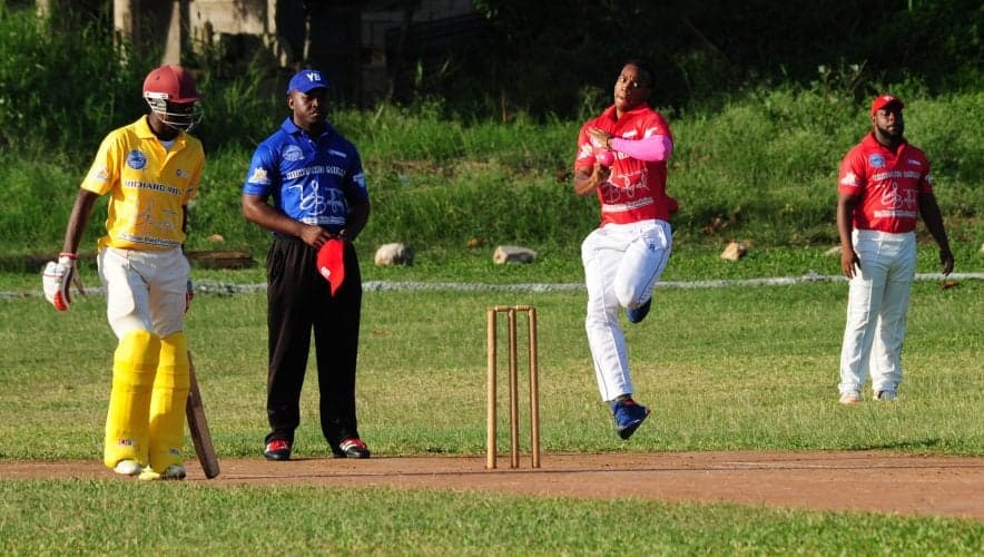 Blake charity cricket event has great turnout