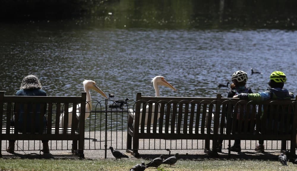Broward County To Reopen Select Recreational Amenities On April 29