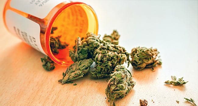 7 questions to ask at a Jacksonville dispensary before buying medical cannabis