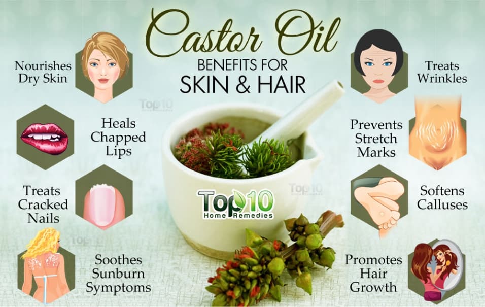 Jamaica to study castor oil to take advantage of the global market