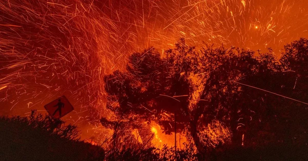 Jamaican Olympian Una Morris and singer Masego lose homes to California wildfires
