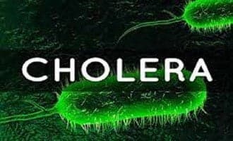Surging cholera incidents worldwide raise alarm