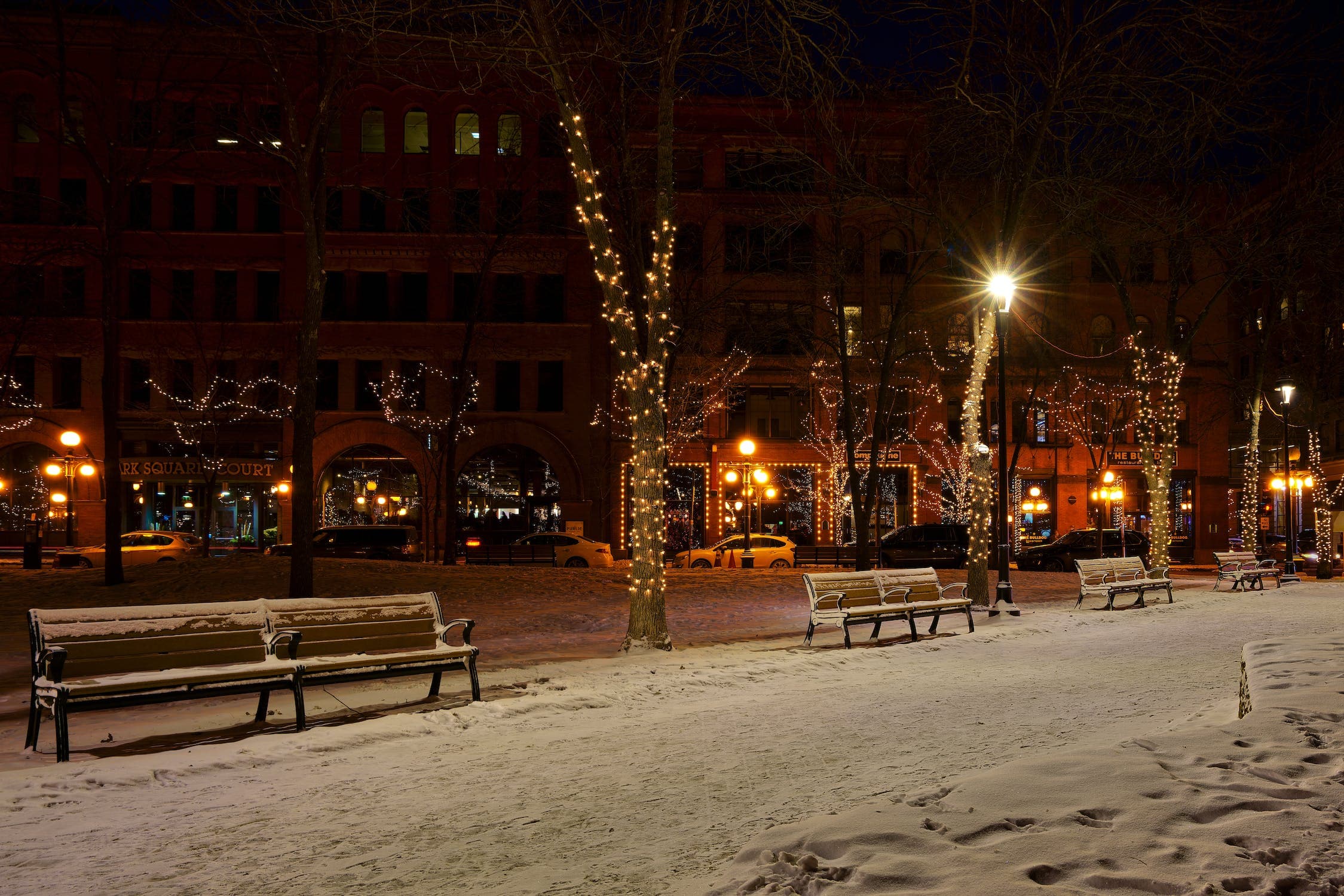 More Americans expected to travel this Christmas season