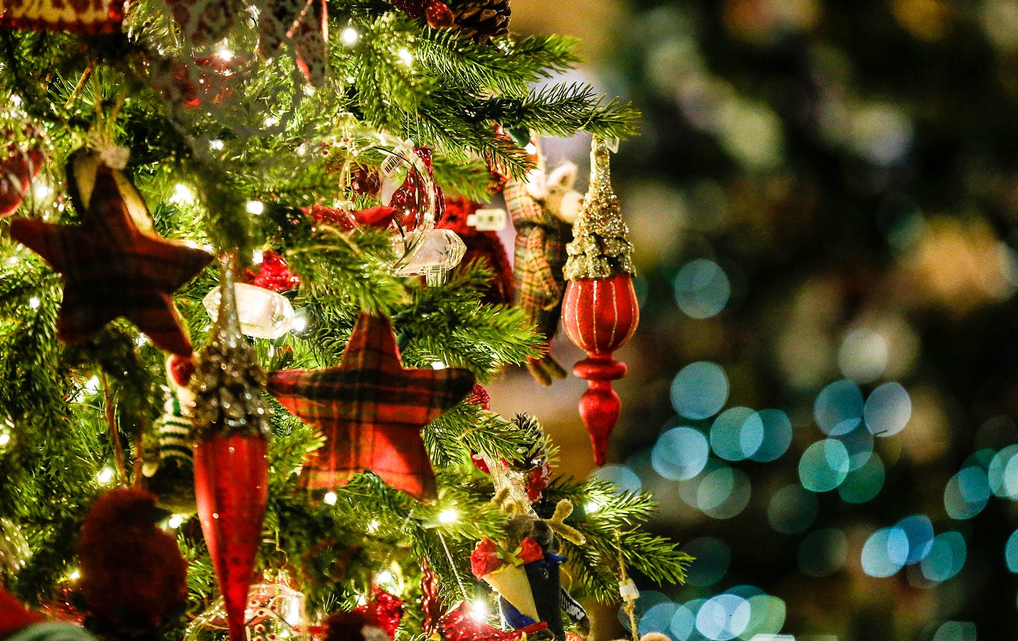 What should the lonely do at Christmas? Get help