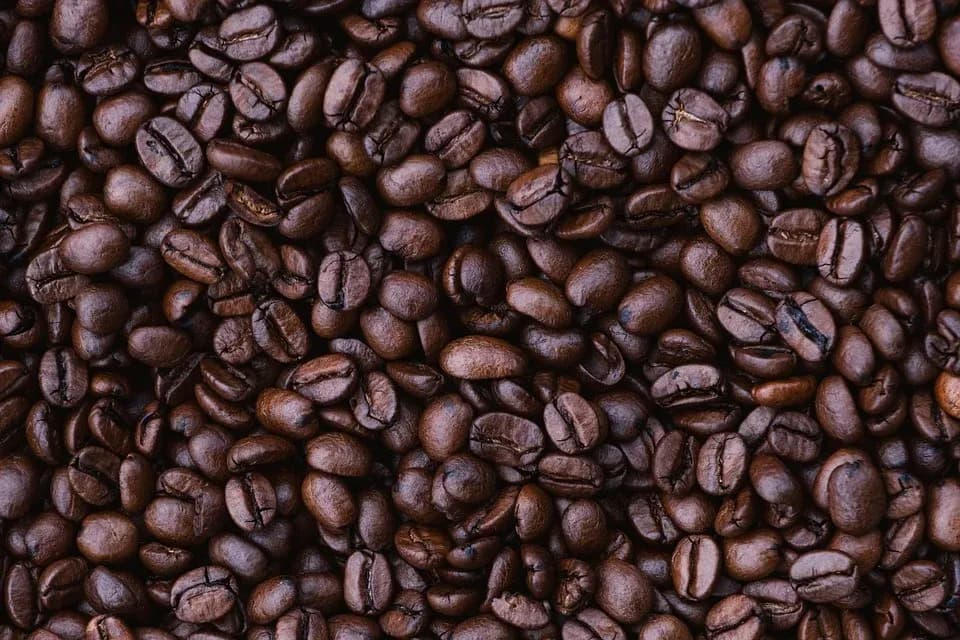 Jamaica records increase coffee production