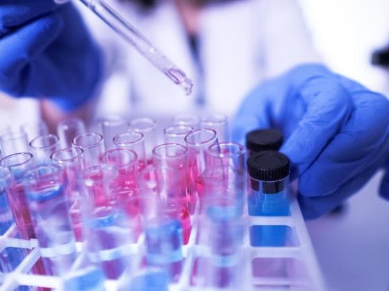 Almost 2,000 COVID-19 Tests in Florida Destroyed in Transit