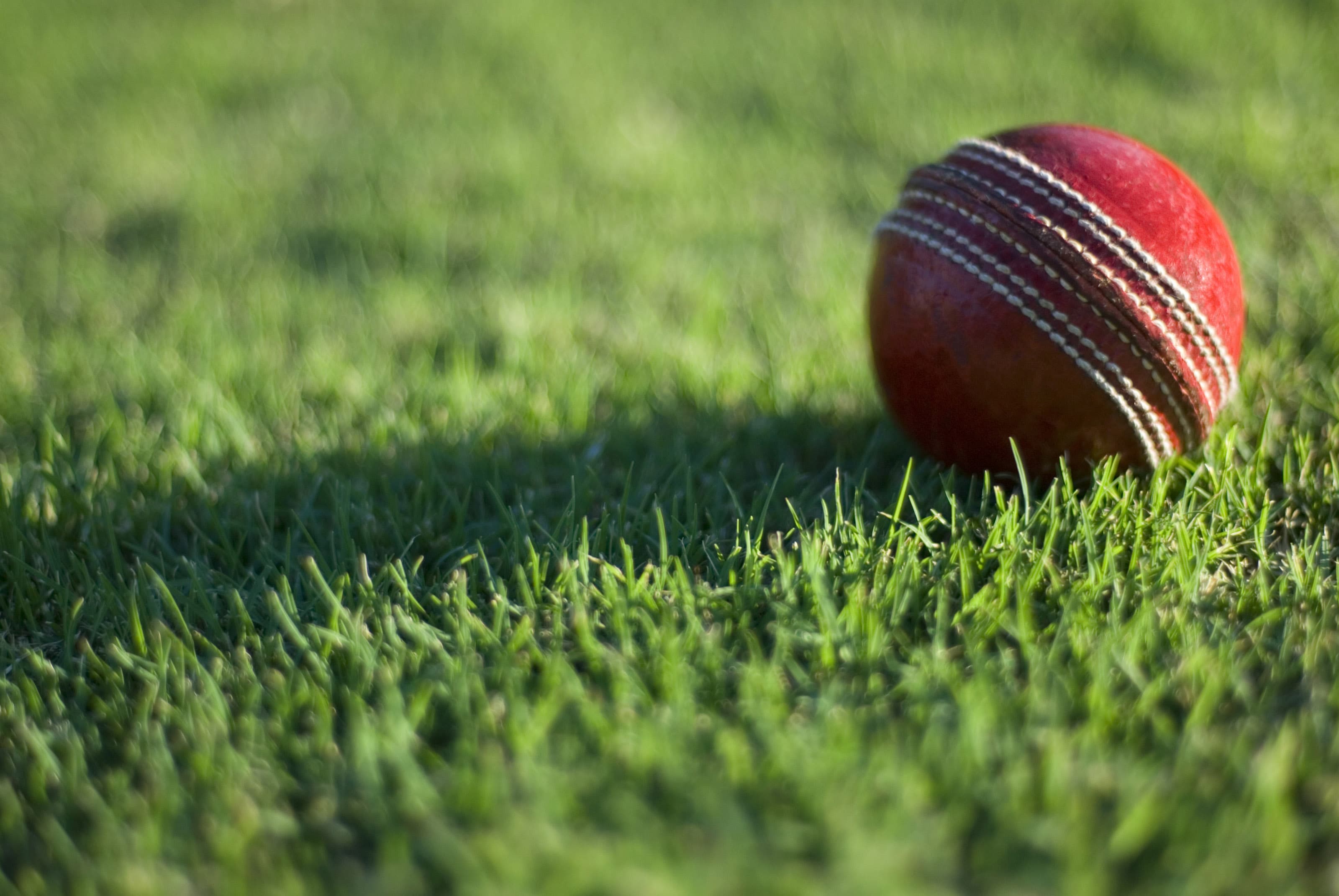 Semi-Finals for Lauderhill T20 Cricket Showdown