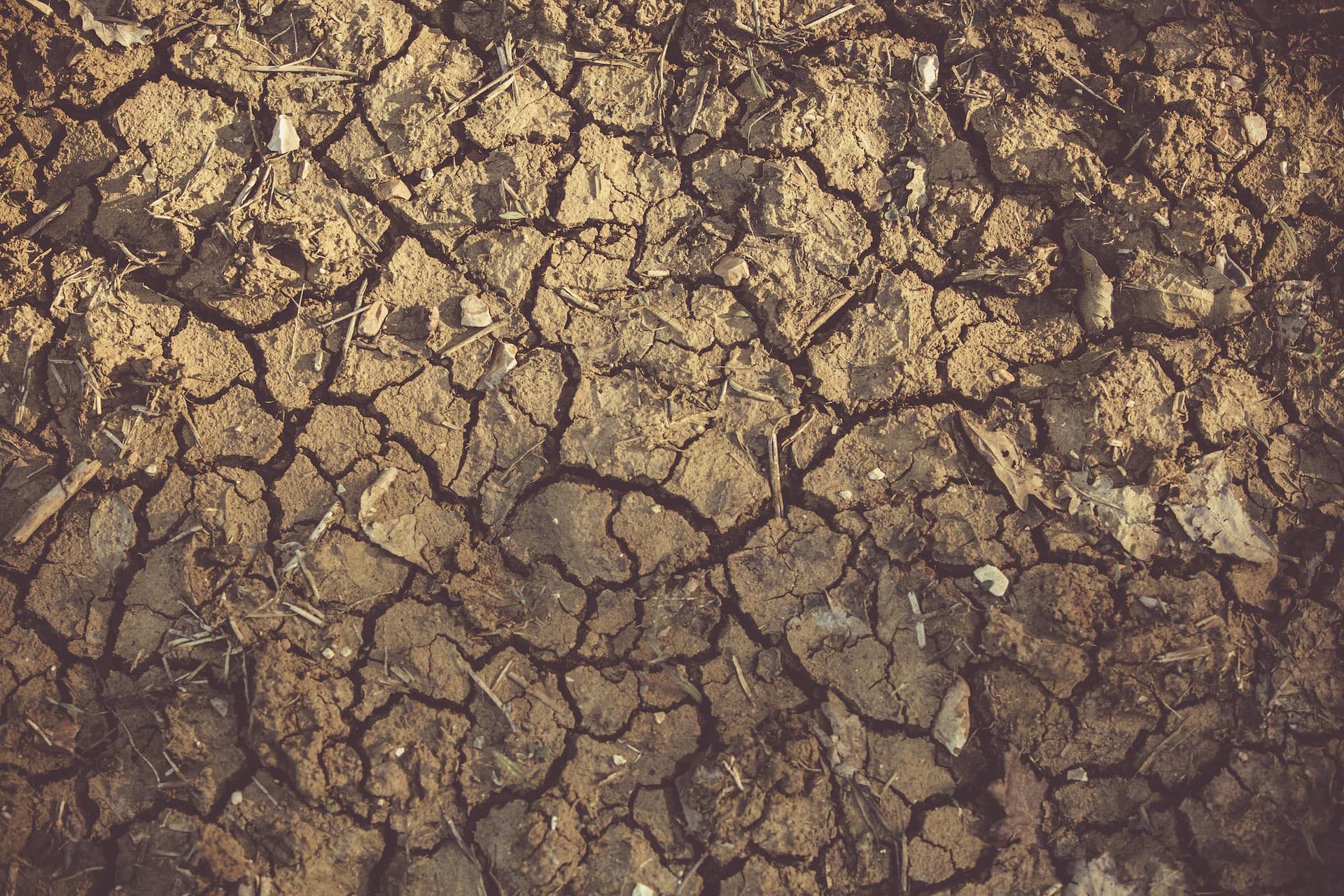 Trinidad implements emergency water measures during severe dry season