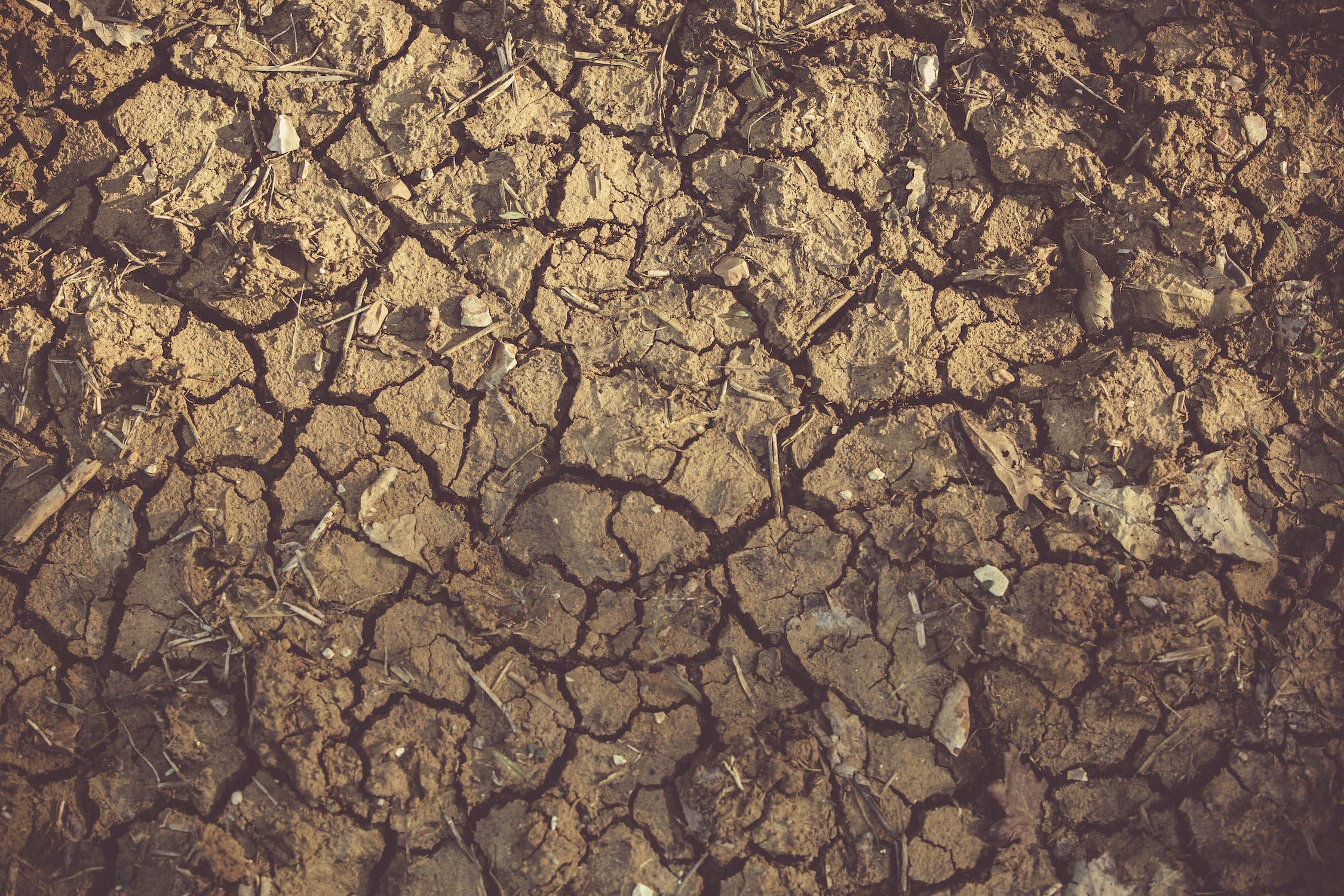 Trinidad implements emergency water measures during severe dry season