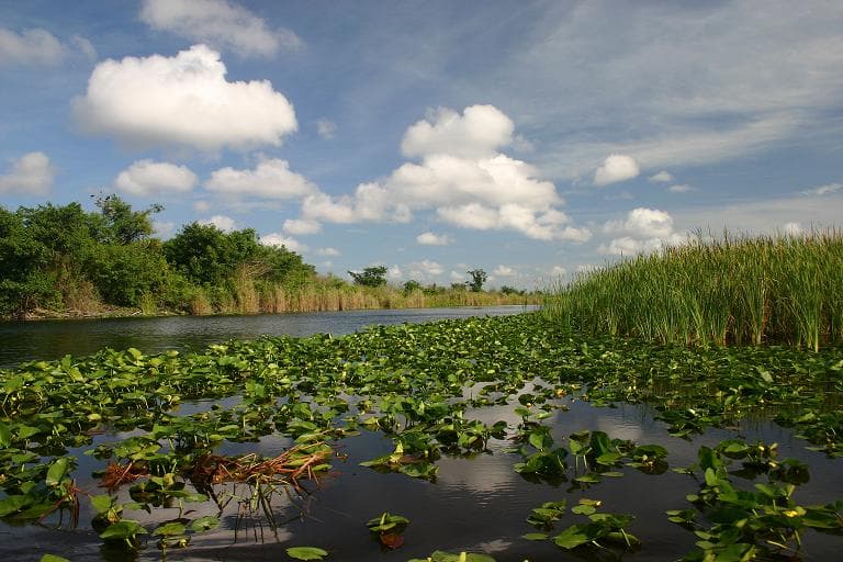 Cities join Miramar's objections to oil exploration proposal in the Everglades