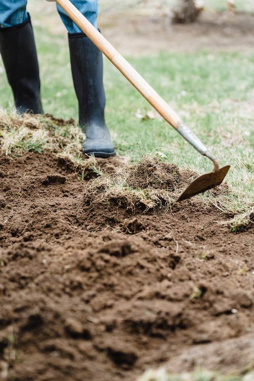 Jamaican farmers encouraged to utilize sustainable agricultural practices