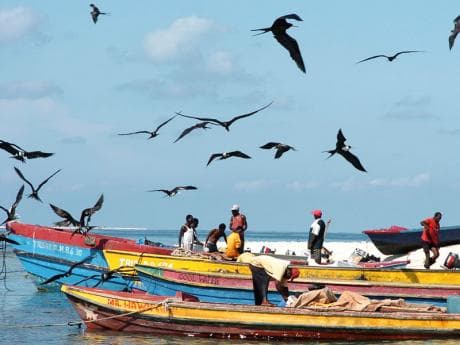 JDF rescues 17 fishermen after boat catches fire off Clarendon coast