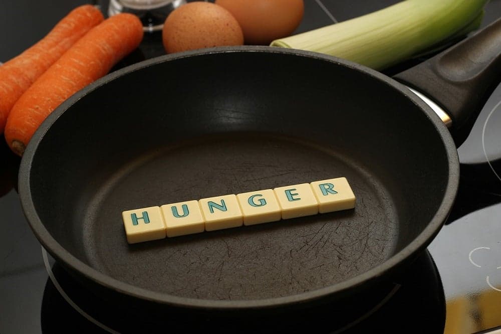 #Editorial: Address Food Insecurity in 2020