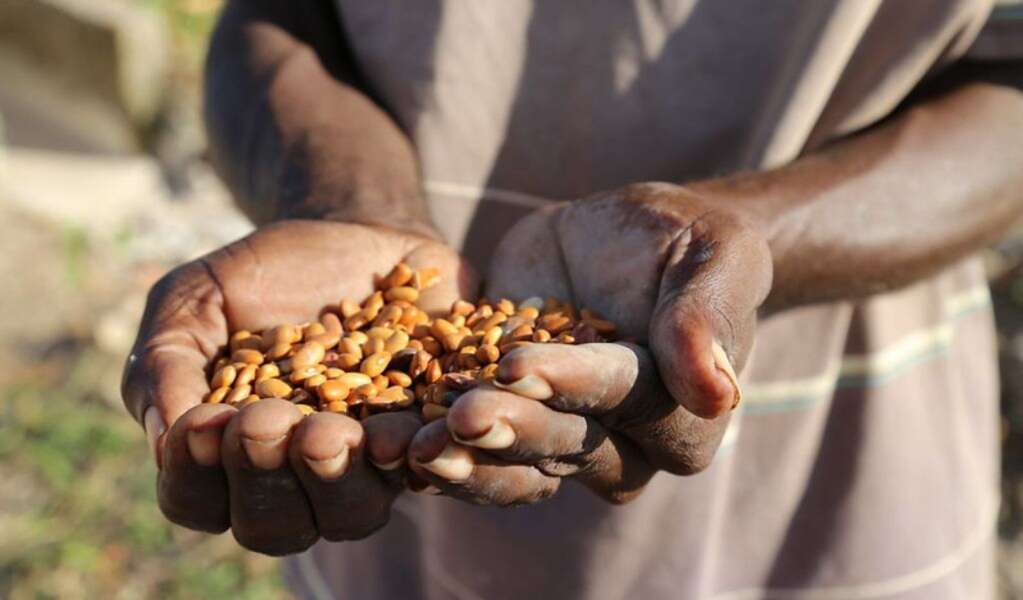 UN report reveals persistent hunger challenges in Latin America and the Caribbean